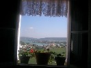 Room with a view